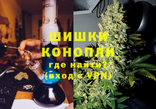 ПСИЛОЦИБИНОВЫЕ ГРИБЫ Абаза