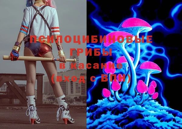 гидра Наволоки